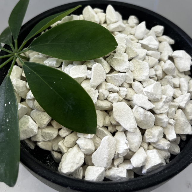 微信截图_20251124144817