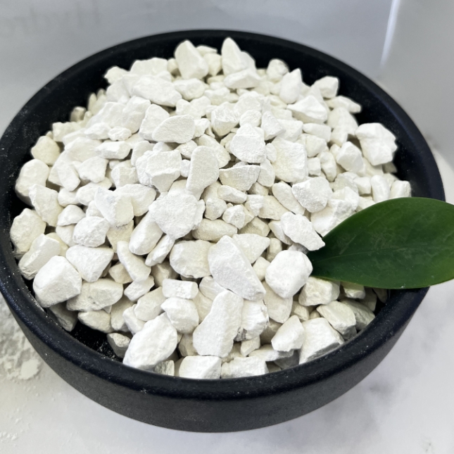 微信截图_20251124144701